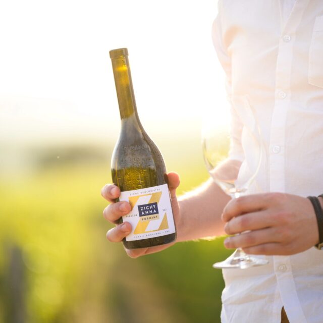 ZICHY ANNA · Furmint újabb sikere