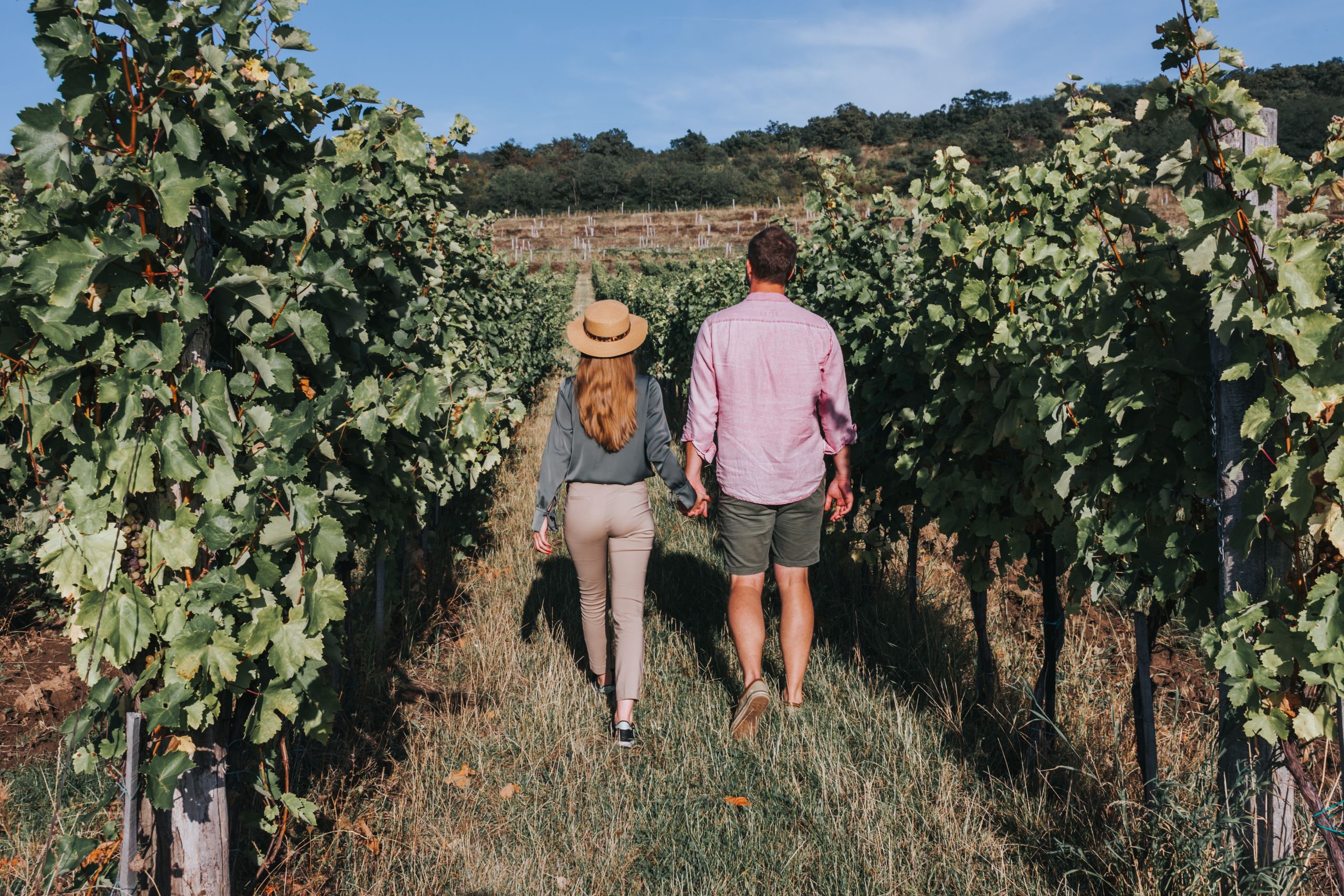 ZICHY ANNA SPARKLING WINE HOUSE